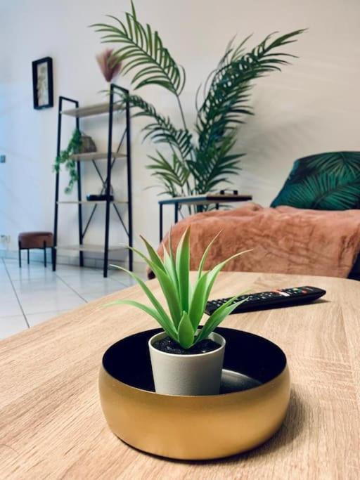 Tour De L'Europe, En Plein Centre Avec Parking. Apartman Mulhouse Kültér fotó