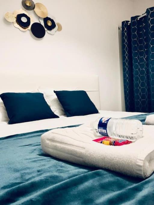 Tour De L'Europe, En Plein Centre Avec Parking. Apartman Mulhouse Kültér fotó