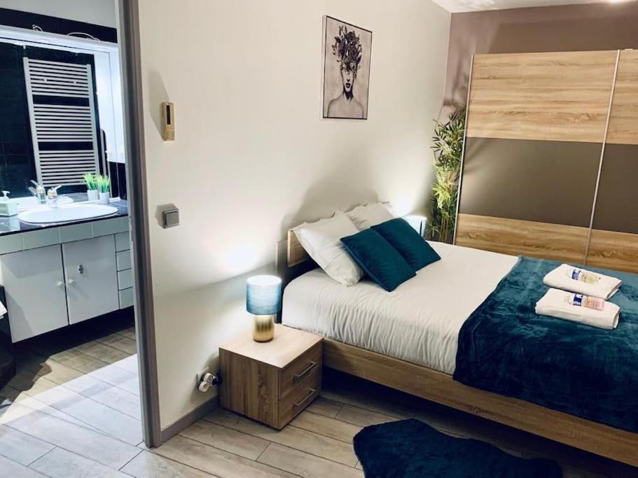 Tour De L'Europe, En Plein Centre Avec Parking. Apartman Mulhouse Kültér fotó